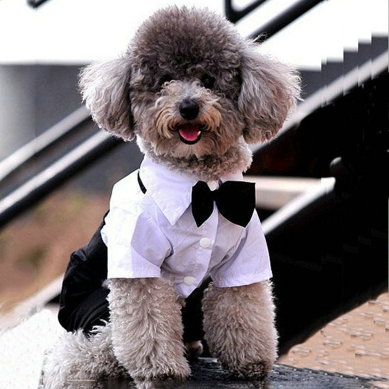 Puppy Jumpsuit